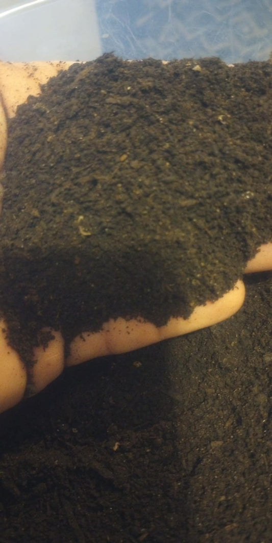 Fine Substrate